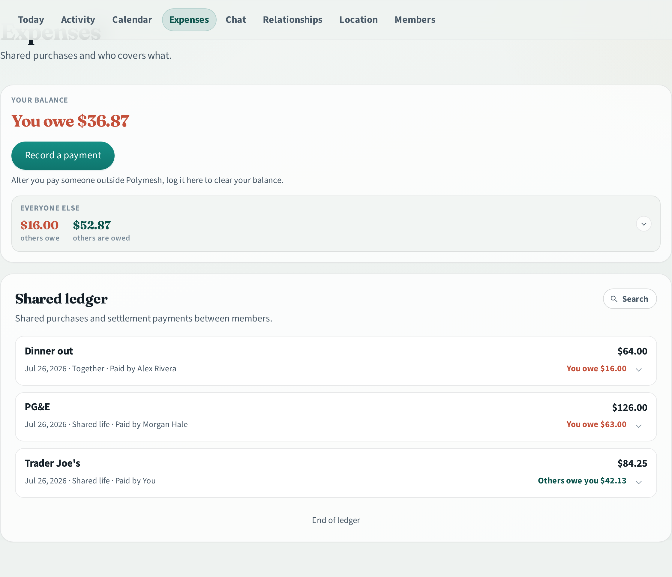 Polymesh expenses ledger showing shared costs and balances